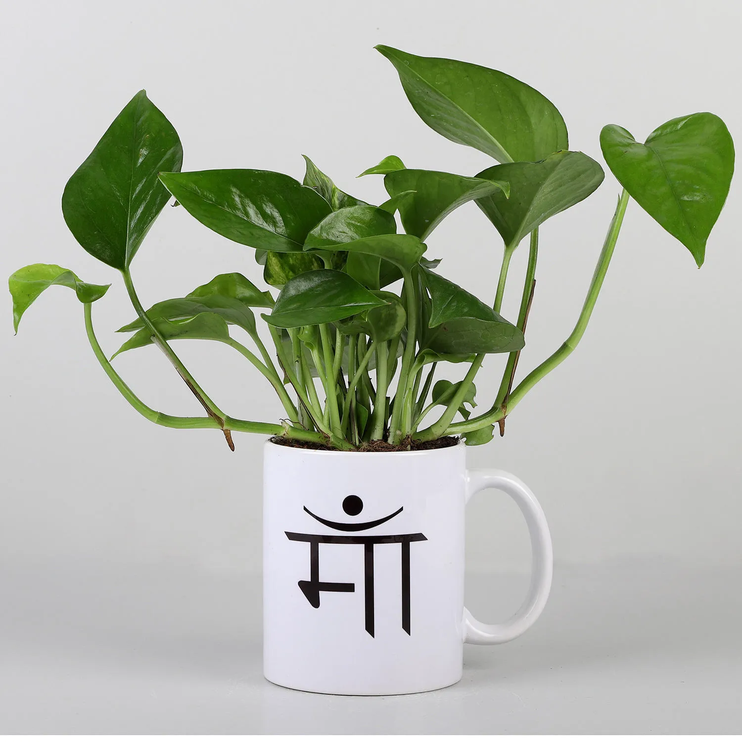 I love you momceramic coffee mug